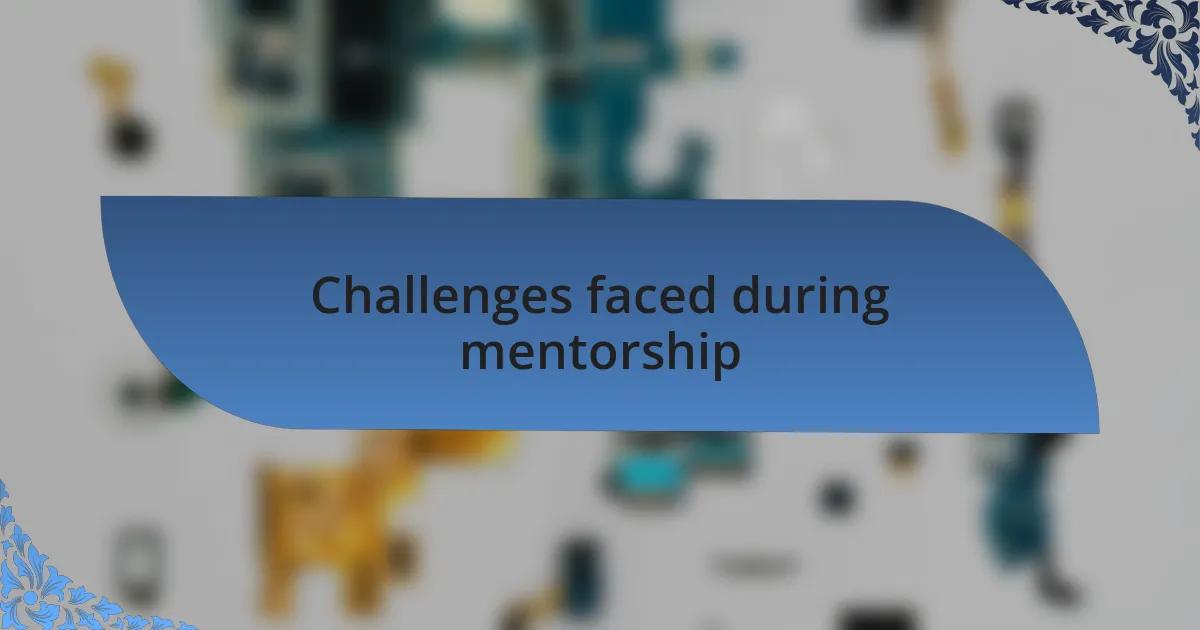 Challenges faced during mentorship