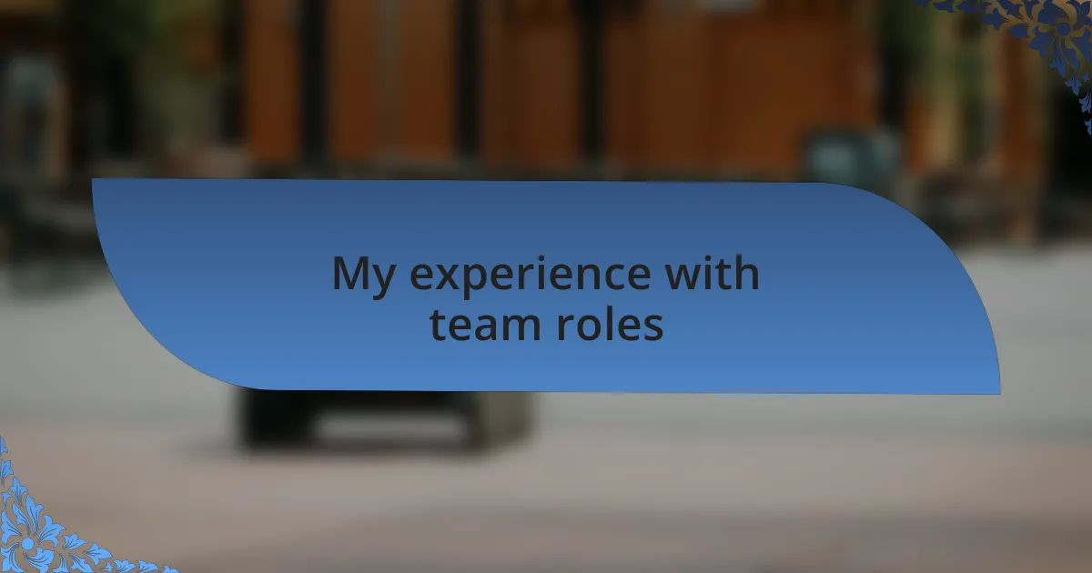 My experience with team roles