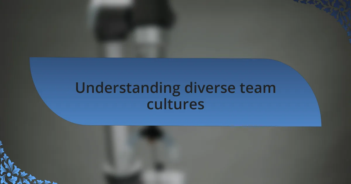 Understanding diverse team cultures